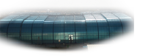 חיפוי בריכה